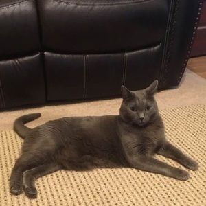 Meet your Posher, Sherry